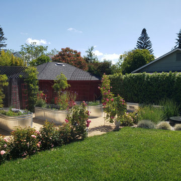 Planter Boxes & Vegetable Gardens