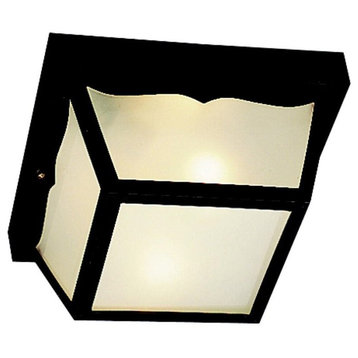 Outdoor Plastic Fixtures Outdoor Ceiling 2-Light, Black