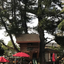 tree fort