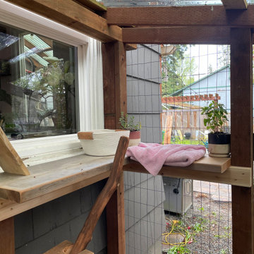 Catio