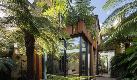 Room Tour: A Light-filled Extension Surrounded by Luscious Ferns