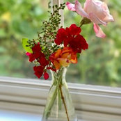 Sandy Hsieh's photo