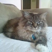 Sharon Lucas Minnick's photo