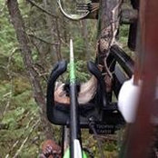 Kyle Sellner's photo