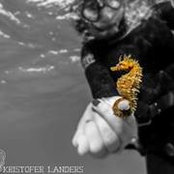 Kelsey Dickinson's photo
