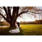 Misty Coffey's photo