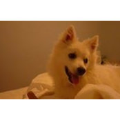 Solange Herault's photo