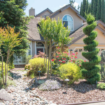 Roseville Front Yard