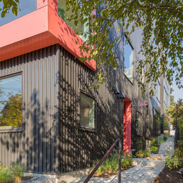 Big Mouth House