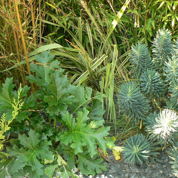JARDIN RUEIL-MALMAISON