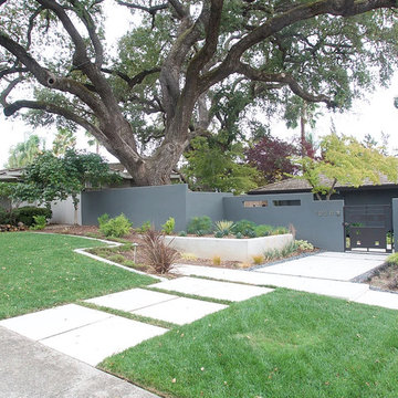 Landscape Designs