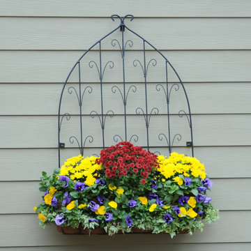 Wall Planters & Trellises