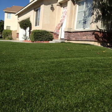 Artificial Grass