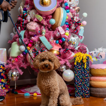 Holiday Decor - Colorland At The Jodie