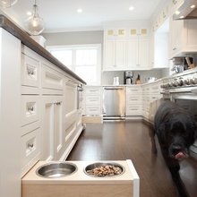 Pet Feeding Station