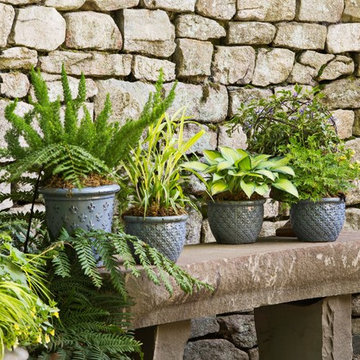 Container Gardens