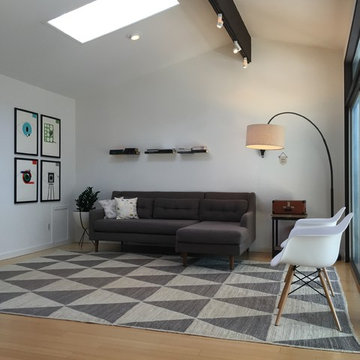 Mid-Century Modern Renovation