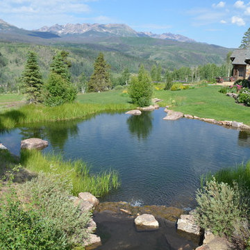 Design - Build Mountain Ranch Landscape in Summit County, CO