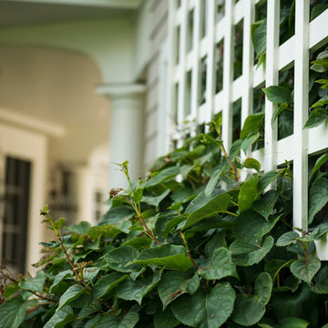 Governors Island Full Landscape Design Project