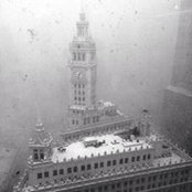 Catherine Hughes's photo
