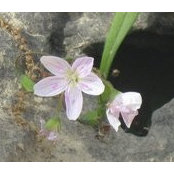Molly Pearson's photo