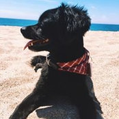 Emma Greenwell's photo