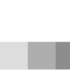 networkgray Inc.