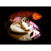 Sandra Browder's photo
