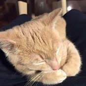Ashleigh Gosman's photo