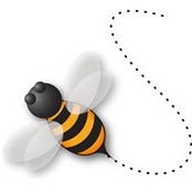 Buzz Maven's photo