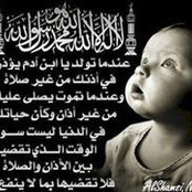 حسان السيدs foto