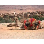 Maria Minischetti's photo
