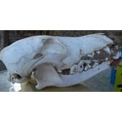 Chelise Floyd's photo