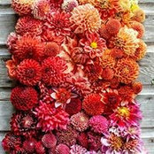Karen Larson's photo