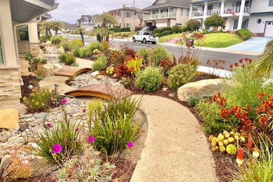 Design ideas for a tropical landscaping in San Luis Obispo.
