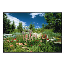 Alpine Landscape