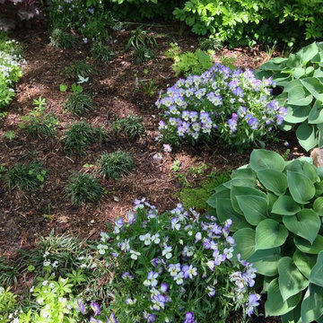 Whimsical Garden, Chevy Chase
