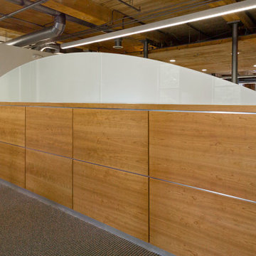 Frameless Glass Walls & Partitions