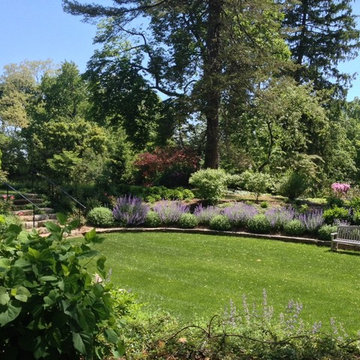 Thistle Lane
