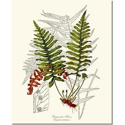 Traditional Prints And Posters by Charting Nature