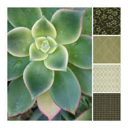 Color Inspiration - Products