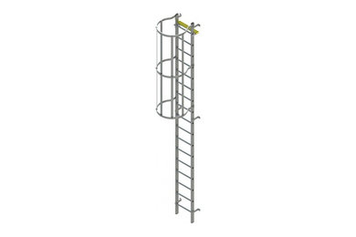 Vertical Access Ladders