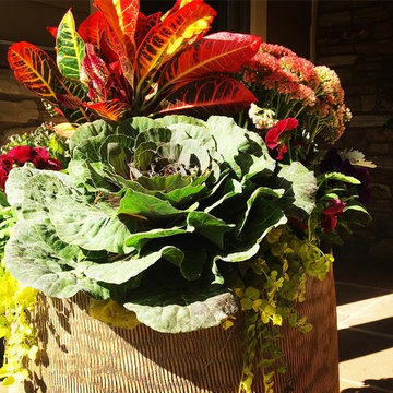 Fall Container Garden Design