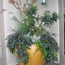 flowers/planters