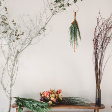 carol_bloom2's ideas