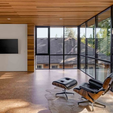 Modern Poolhouse Addition