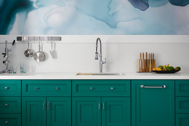 Kitchen - contemporary kitchen idea in Other
