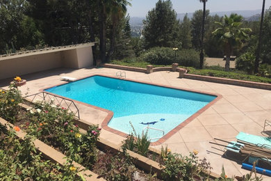 Inspiration for a mid-sized mediterranean backyard custom-shaped natural pool in Los Angeles with stamped concrete.
