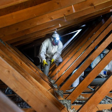 Pasadena, CA - Commercial Crawl Space Cleaning Services
