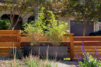 This is an example of an asian landscaping in San Francisco.